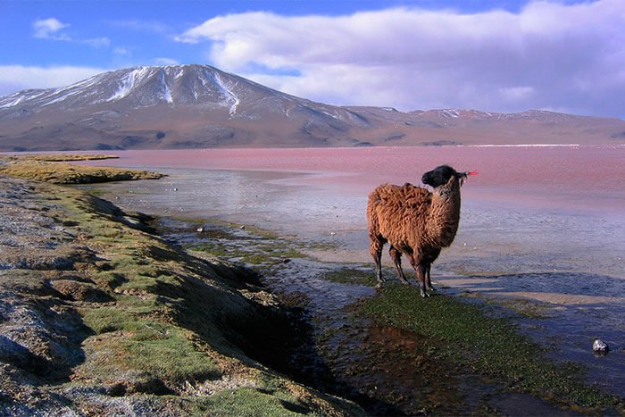 mapa de sitio boliviaturismo