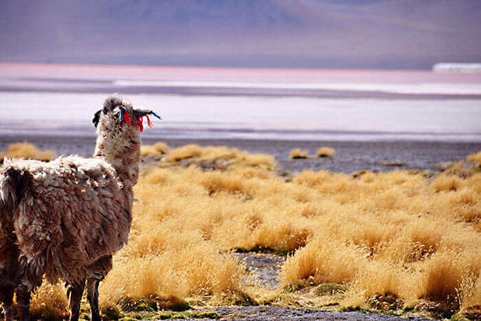 mapa turistico bolivia